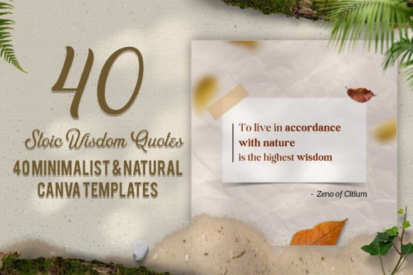 Download 40 Minimalist &amp; Natural Canva Templates - Canva template Collection